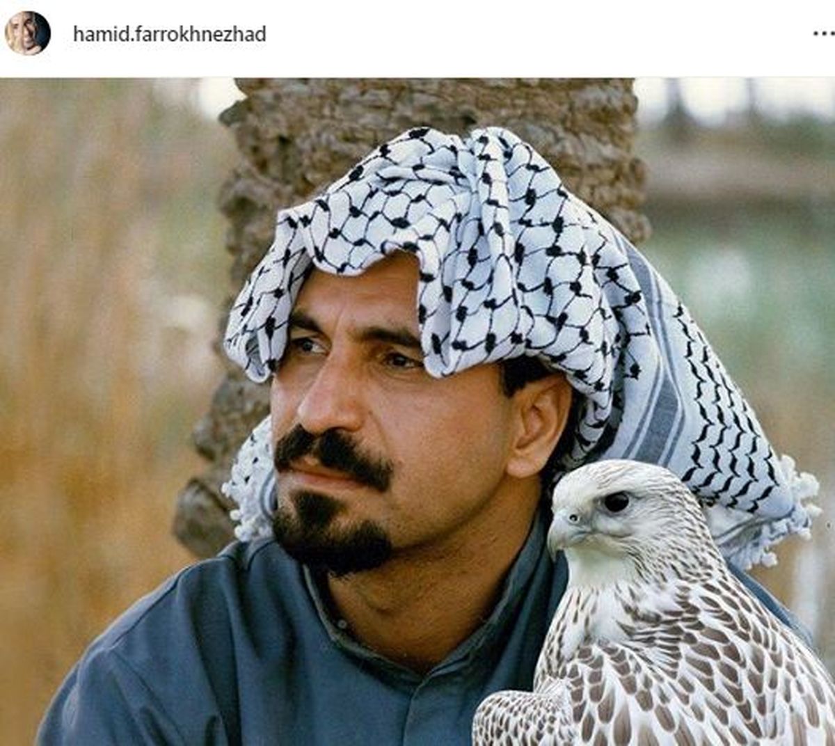 حمید فرخ نژاد با استایل جنوبی + عکس