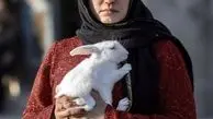 خرگوش بامزه الناز شاکردوست + عکس