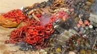 توقیف یک تن مواد غذایی فاسد در قم
