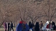 آماده‌سازی جنگل‌های شمال و جنوب اتوبان بابایی تا روز آشتی با طبیعت