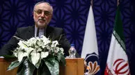 
صالحی: در برجام چه باید می کردیم که نکردیم
