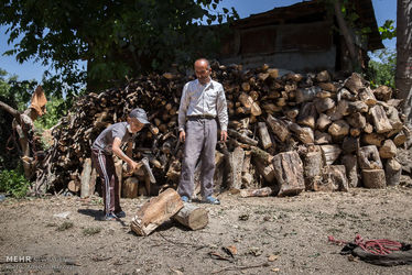 1788184_amirali-razzaghi-17-