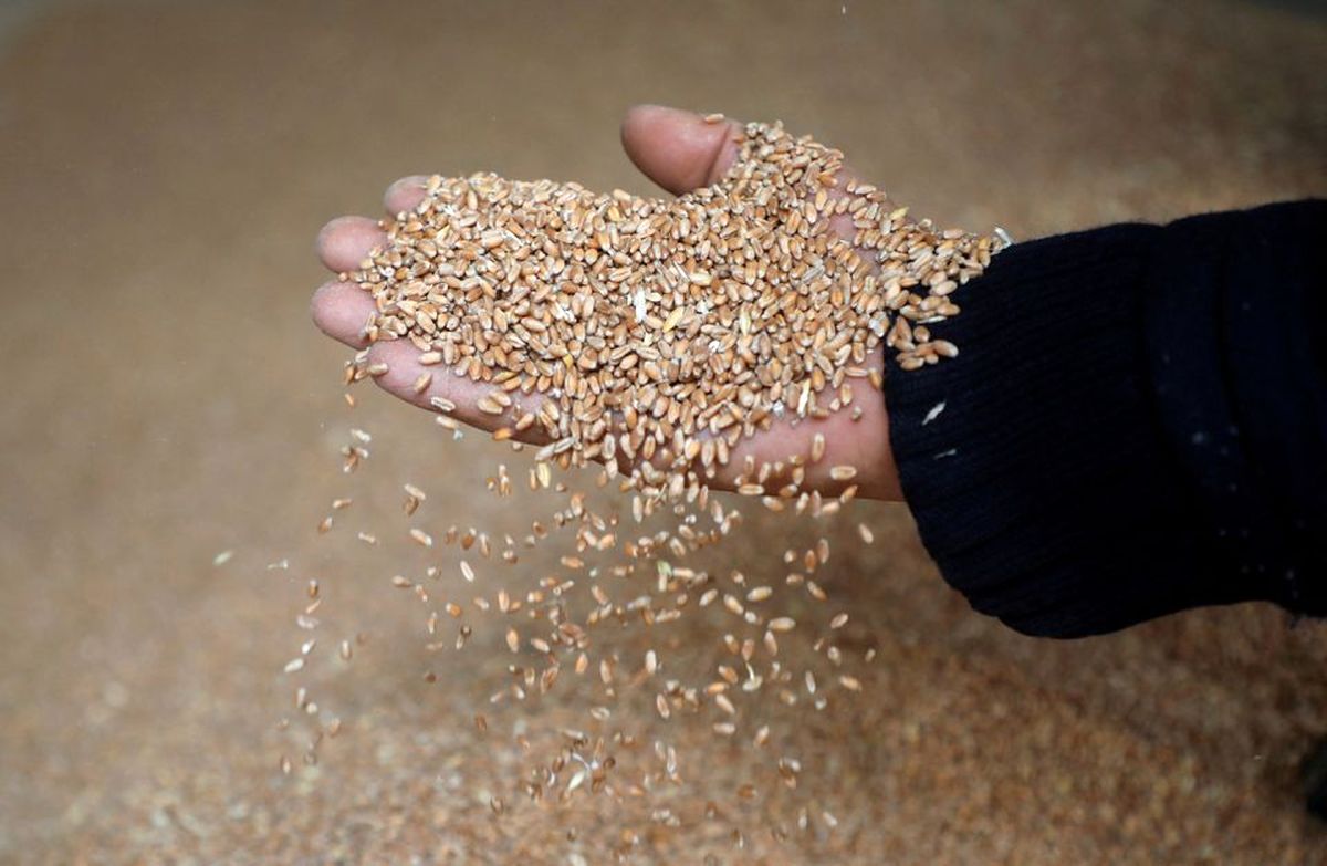 دیپلماسی غذایی اروپا برای رویارویی با کمبود و افزایش بهای مواد غذایی