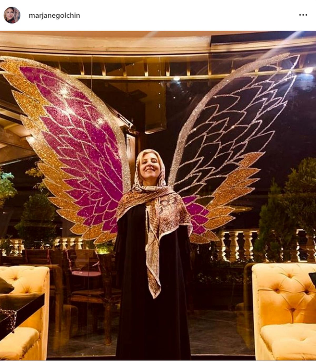 مرجانه گلچین رفت!+عکس