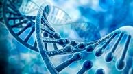 DNA جوان از بروز سرطان پیشگیری می کند