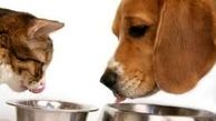 صاحبان حیوانات خانگی و دام های صنعتی بخوانند