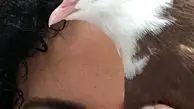 الناز شاکردوست از حیوان خانگی اش رونمایی کرد+عکس