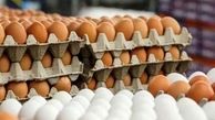 قیمت هر شانه تخم‌مرغ در میادین میوه و تره‌ بار اعلام شد