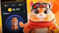 همه چیز درباره بازی همستر و نحوه فروش سکه ها