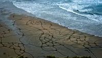 هنرنمایی بسیار شگفت‌انگیز با شن+ فیلم