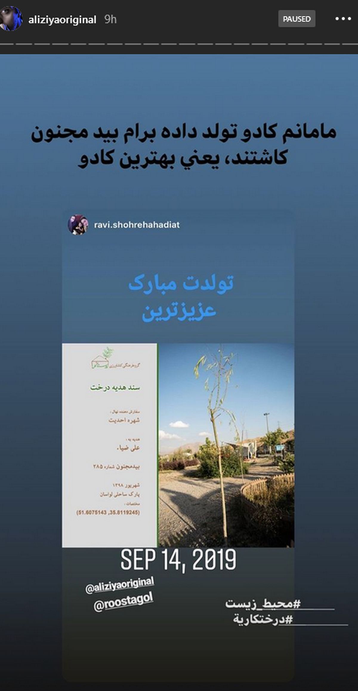 کادوی تولد خاص مادر علی ضیا+عکس