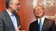 آمانو با صالحی دیدار کرد