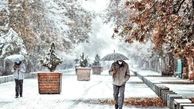 مدارس ابتدایی این مناطق تهران تعطیل شد