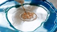 رزین چیست و شناخت انواع رزین