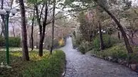    توقف ساختمان سازی در پارک جمشیدیه/ 23 هکتار فضای سبز در معرض خطر ساخت و ساز