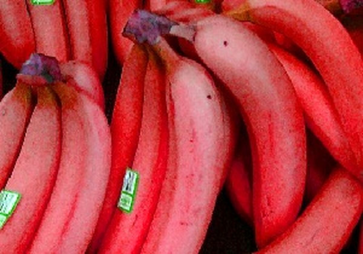 این میوه کمک می کند تا راحت تر سیگارتان را ترک کنید