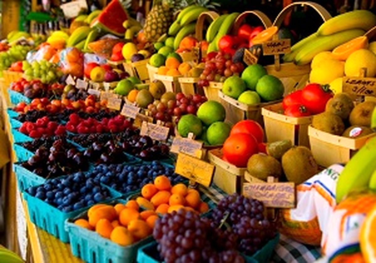 مرکبات جنوب گران شد