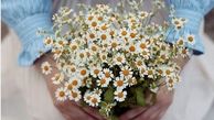 معجزه مادر برای فریبا کوثری+عکس