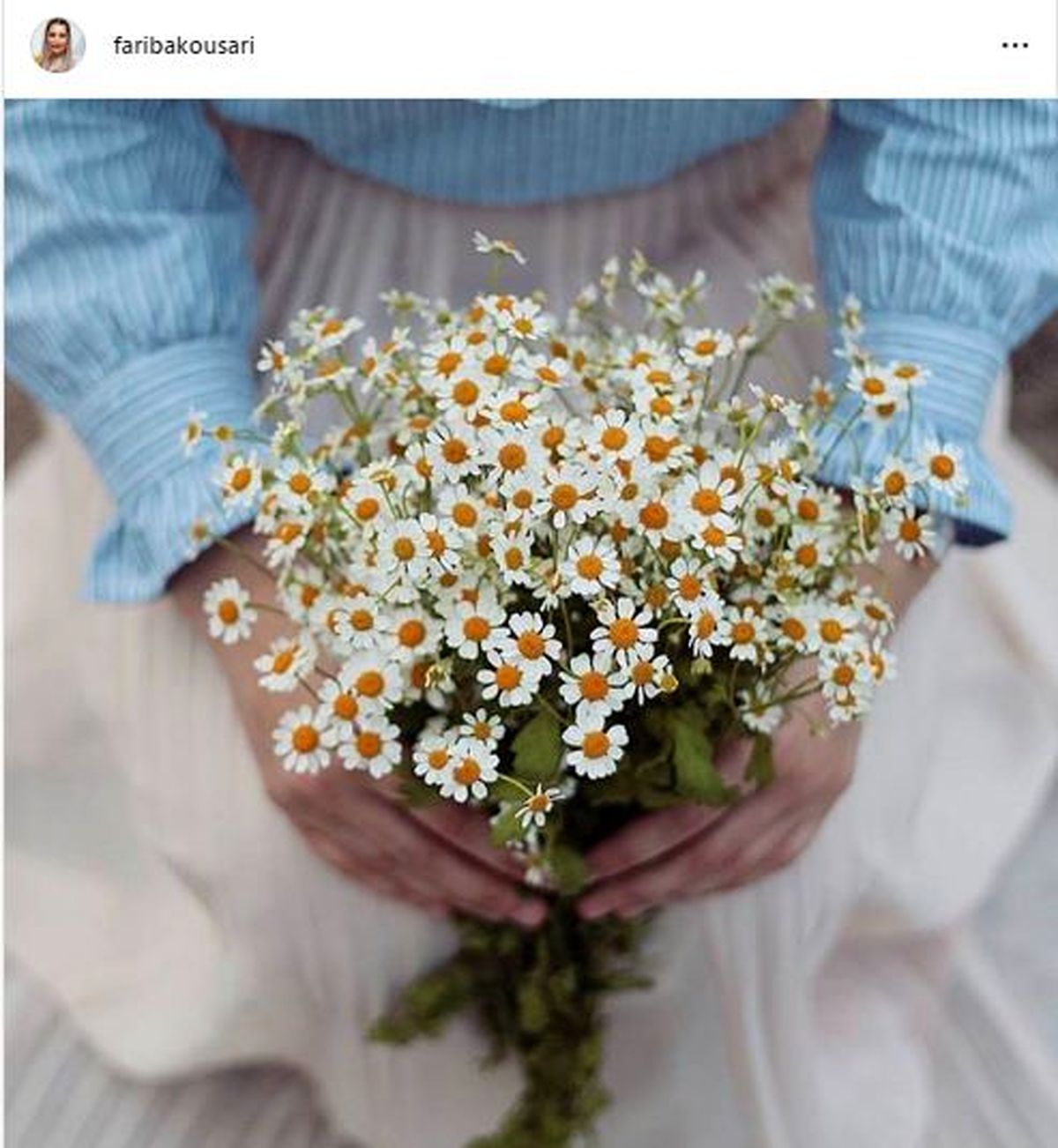 معجزه مادر برای فریبا کوثری+عکس