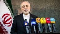 صالحی: ایران هوشیار ضرری از مکر آمریکا نمی‌بیند