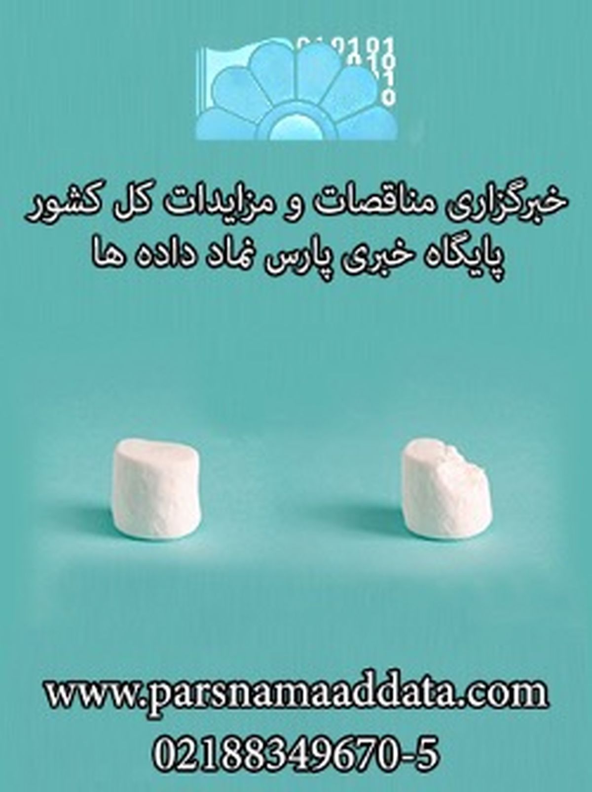 انتخاب کن! مارشمالو یا پنت هاوس