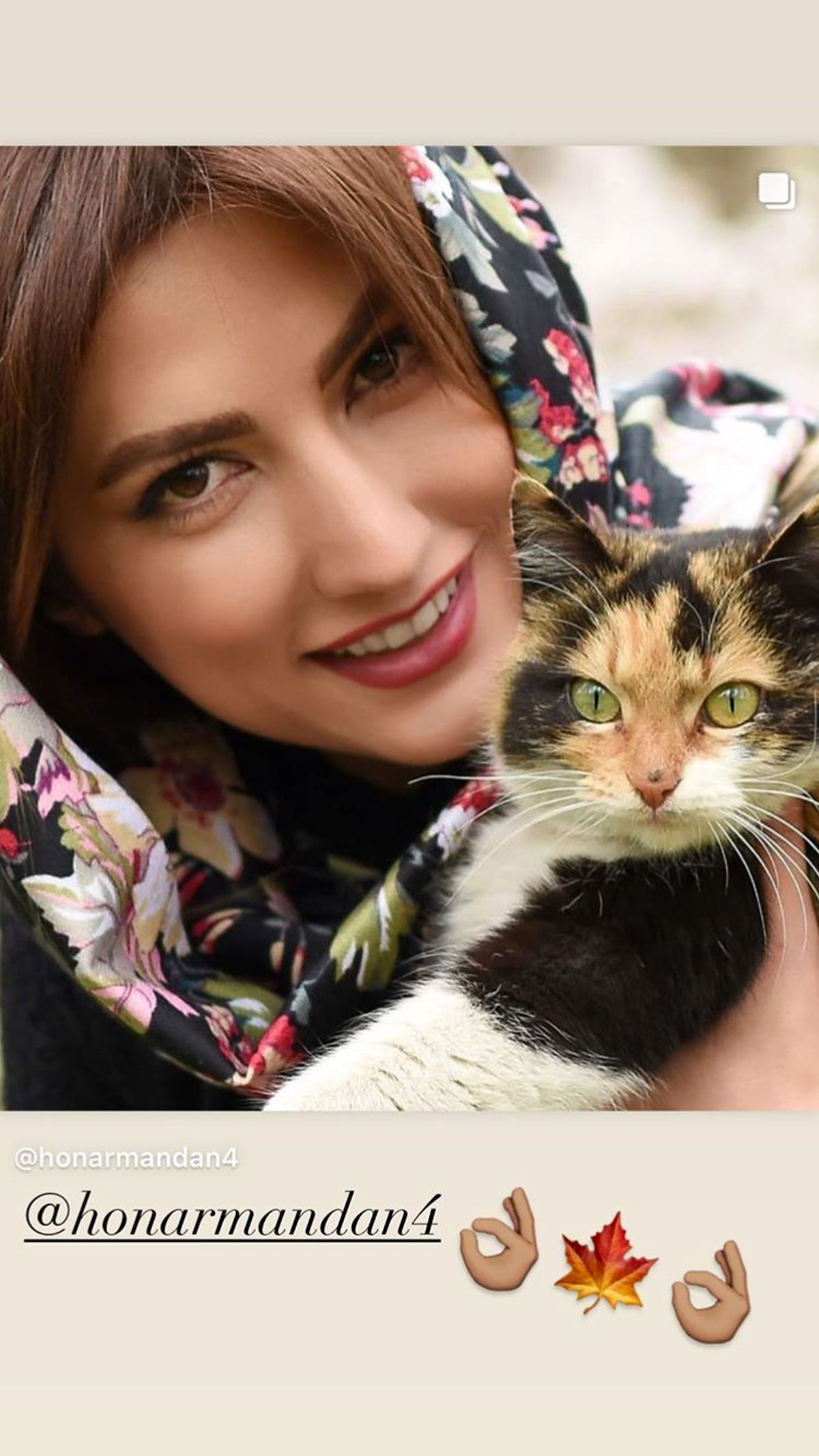 گربه بامزه خانم بازیگر + عکس