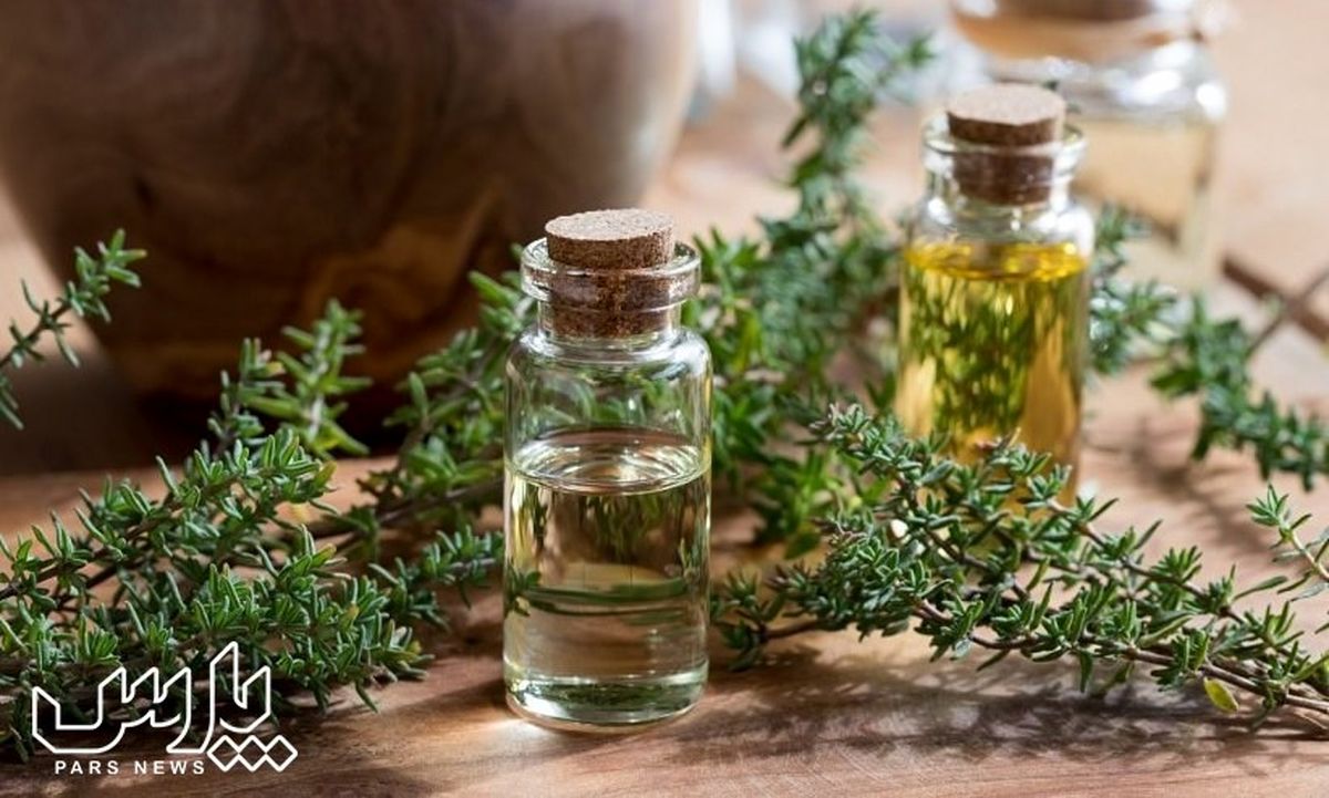 مهمترین خواص آویشن برای سلامتی که تا حالا میدانستید !