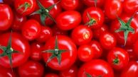 دلیل افزایش دو برابری قیمت گوجه فرنگی