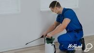 از همین حالا برای مبارزه با حشرات موزی مهیا شوید