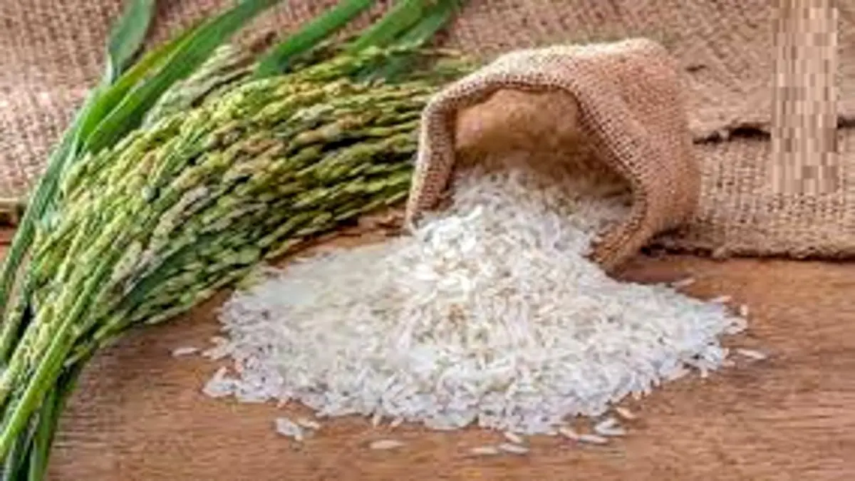 قیمت هرکیلو برنج در بازار چقدر است؟
