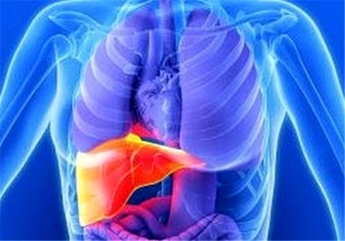 علائمی که از بیماری‌های کبدی خبر می‌دهند
