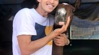 اسب بامزه سردار آزمون + عکس