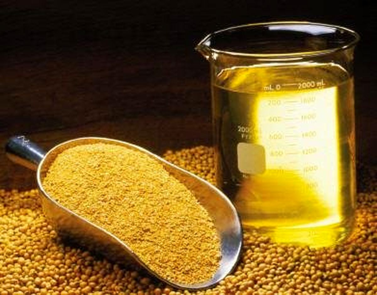 خواص شگفت انگیز روغن کنجد 