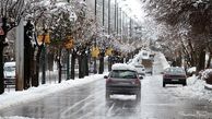 برف و باران در بسیاری از نقاط کشور / هوا در همه استان‌‌ها سرد می‌‌شود
