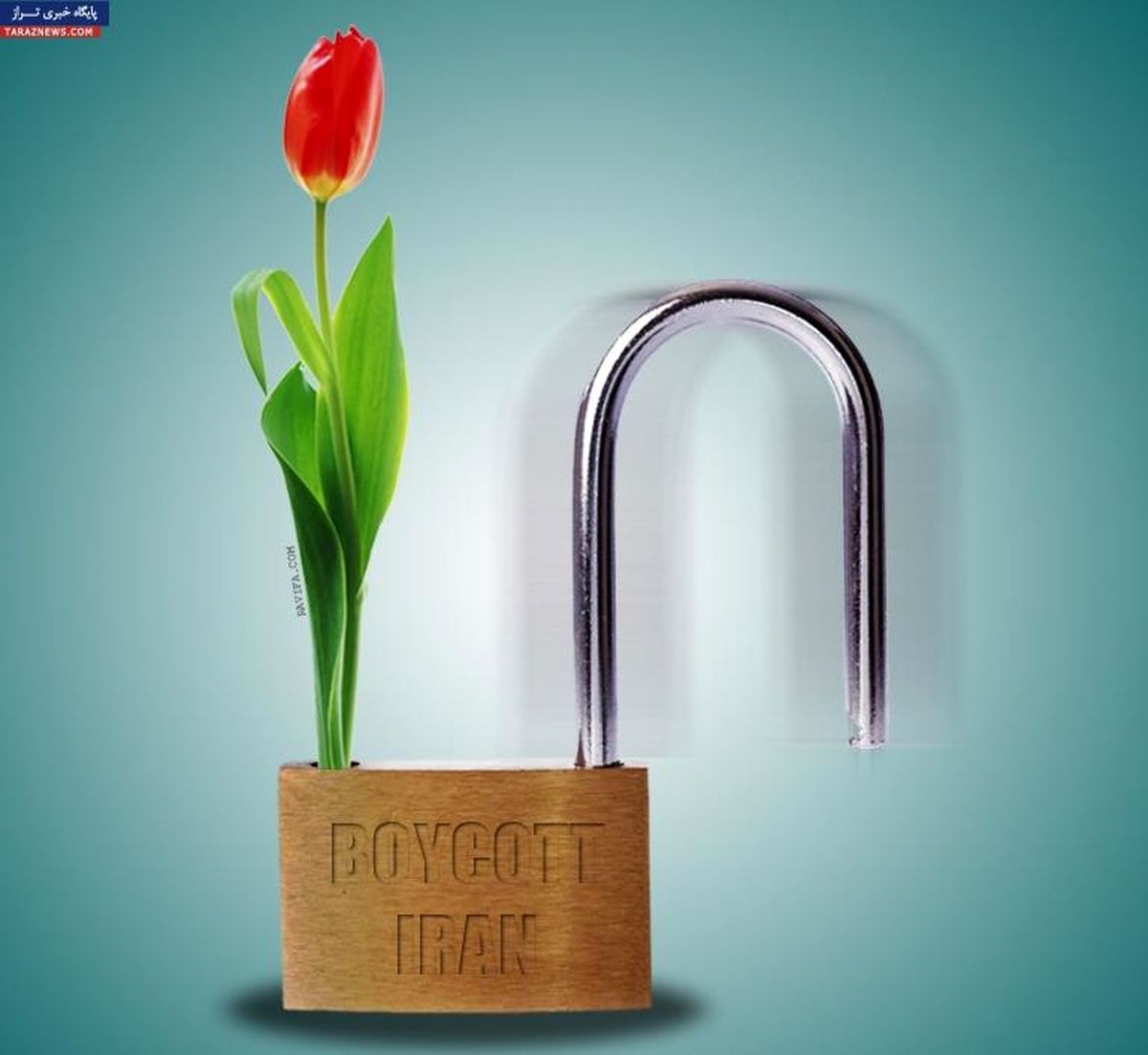 آفت خود تحریمی
