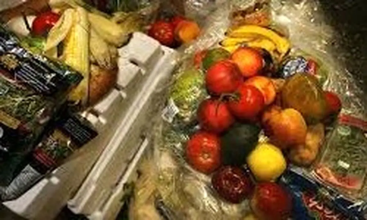 دور ریز66 تن مواد غذایی در هر ثانیه 