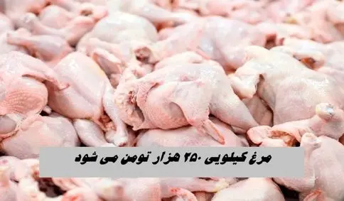 مرغ کیلویی ۲۵۰ هزار تومان می‌ شود