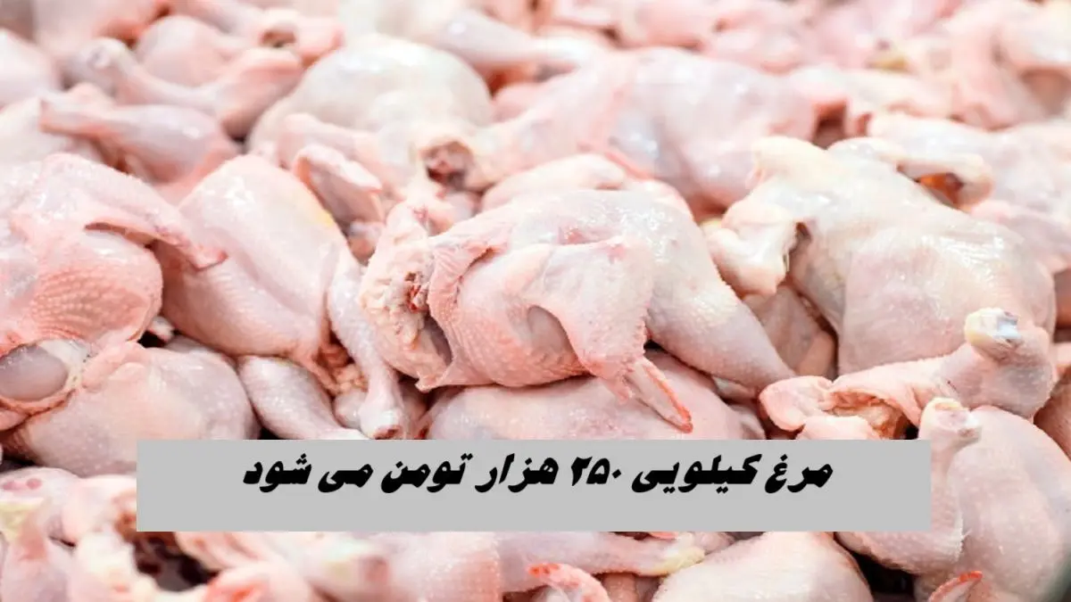 مرغ کیلویی ۲۵۰ هزار تومان می‌ شود