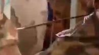 ویدئویی تکان دهنده از اشک‌های سرباز عراقی در مرز شلمچه