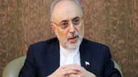 صالحی: بعد از انتخابات آمریکا شاید برجام روزهای سختی داشته باشد