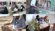 جزئیات اشتغال‌زایی روستایی در استان تهران
