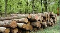 رای جالب یک قاضی برای عامل قطع درختان
