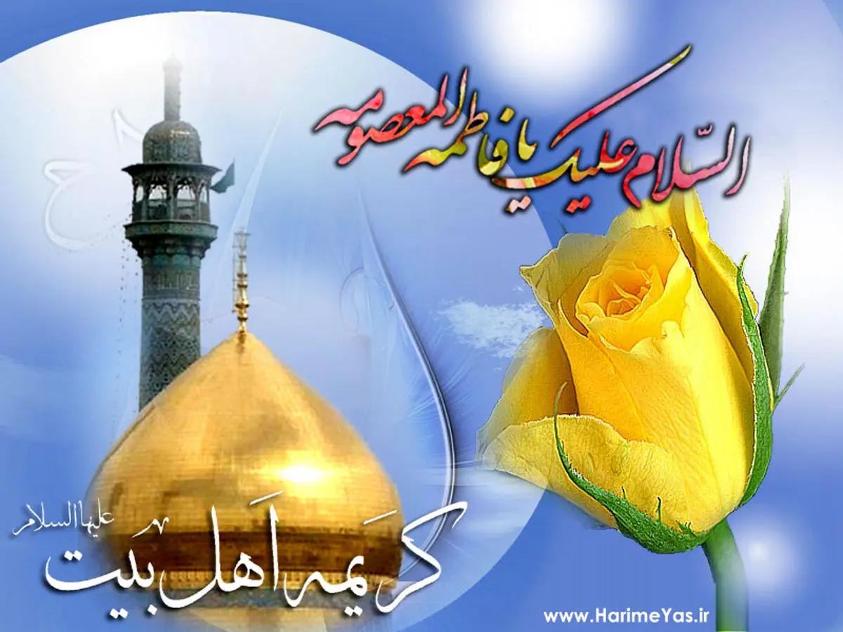 ضریح حضرت معصومه (س) غبارروبی شد
