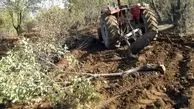 اعتبار خروج دام از جنگل ها تصويب نشد/ کاهش شديد سطح جنگل هاي شمال طي 3 تا 4 دهه اخير