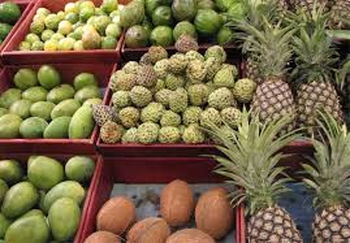 دلار، میوه های وارداتی را گران نکرده است