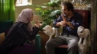 تاثیر نقی معمولی و پایتخت در مصرف اینترنت کشور + نمودار