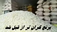 برنج گران‌ تر از قبل شد