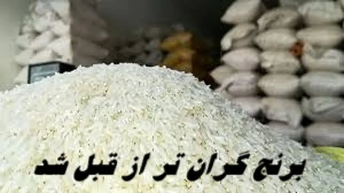 برنج گران‌ تر از قبل شد