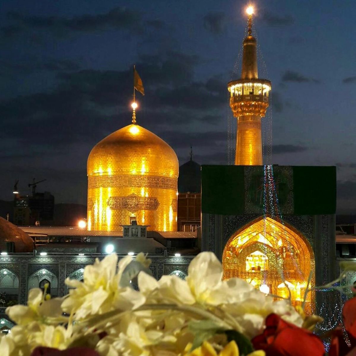 مناجات عاشقانه فریبا کوثری با امام رضا(ع)