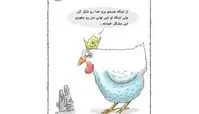کاریکاتور:واکنش یک مرغ به وزیر کشاورزی!